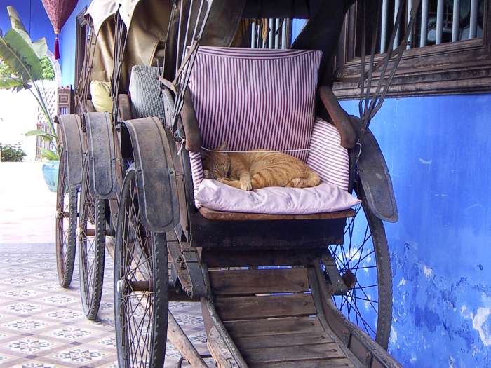 In der Riksha
