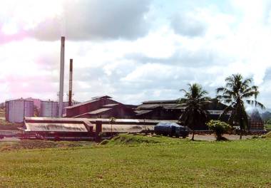 Palmölfabrik